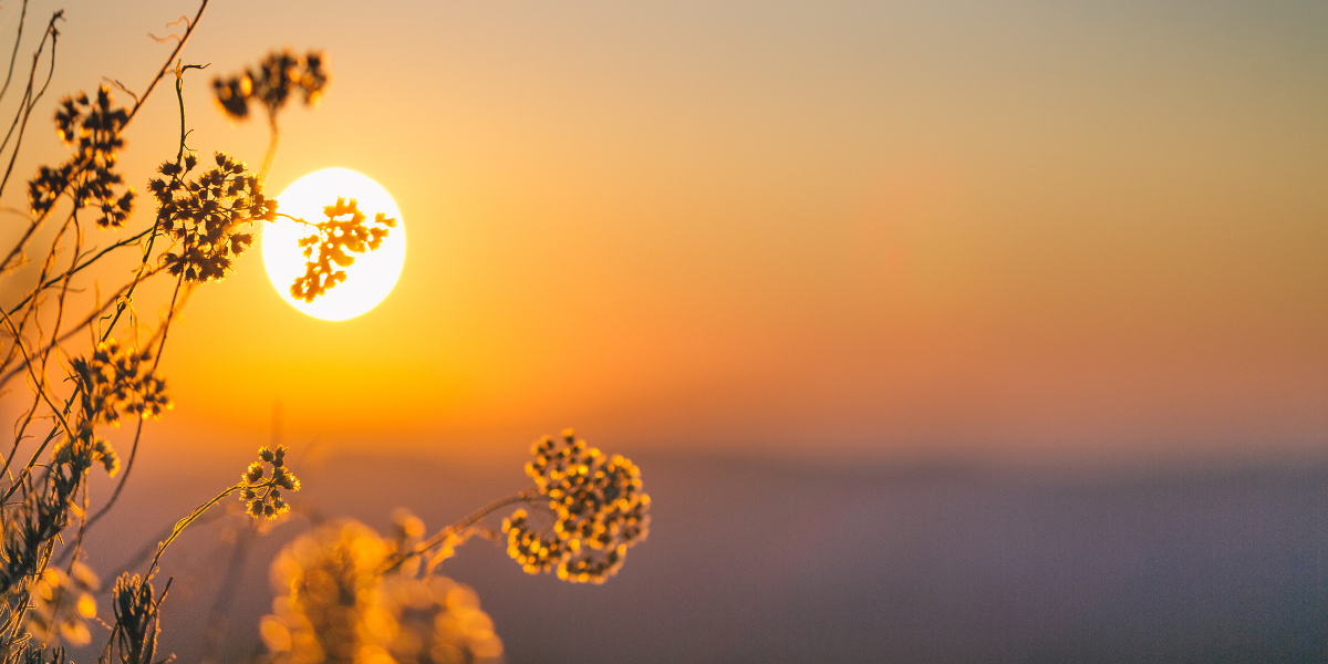Bain de soleil en automne