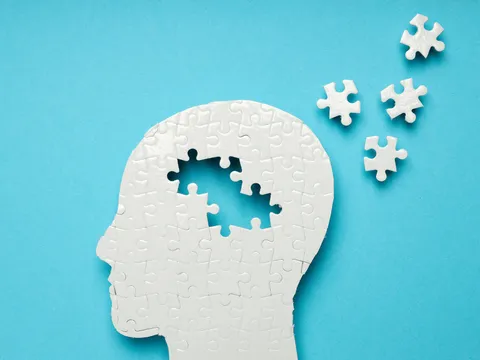 Programme Alzheimer