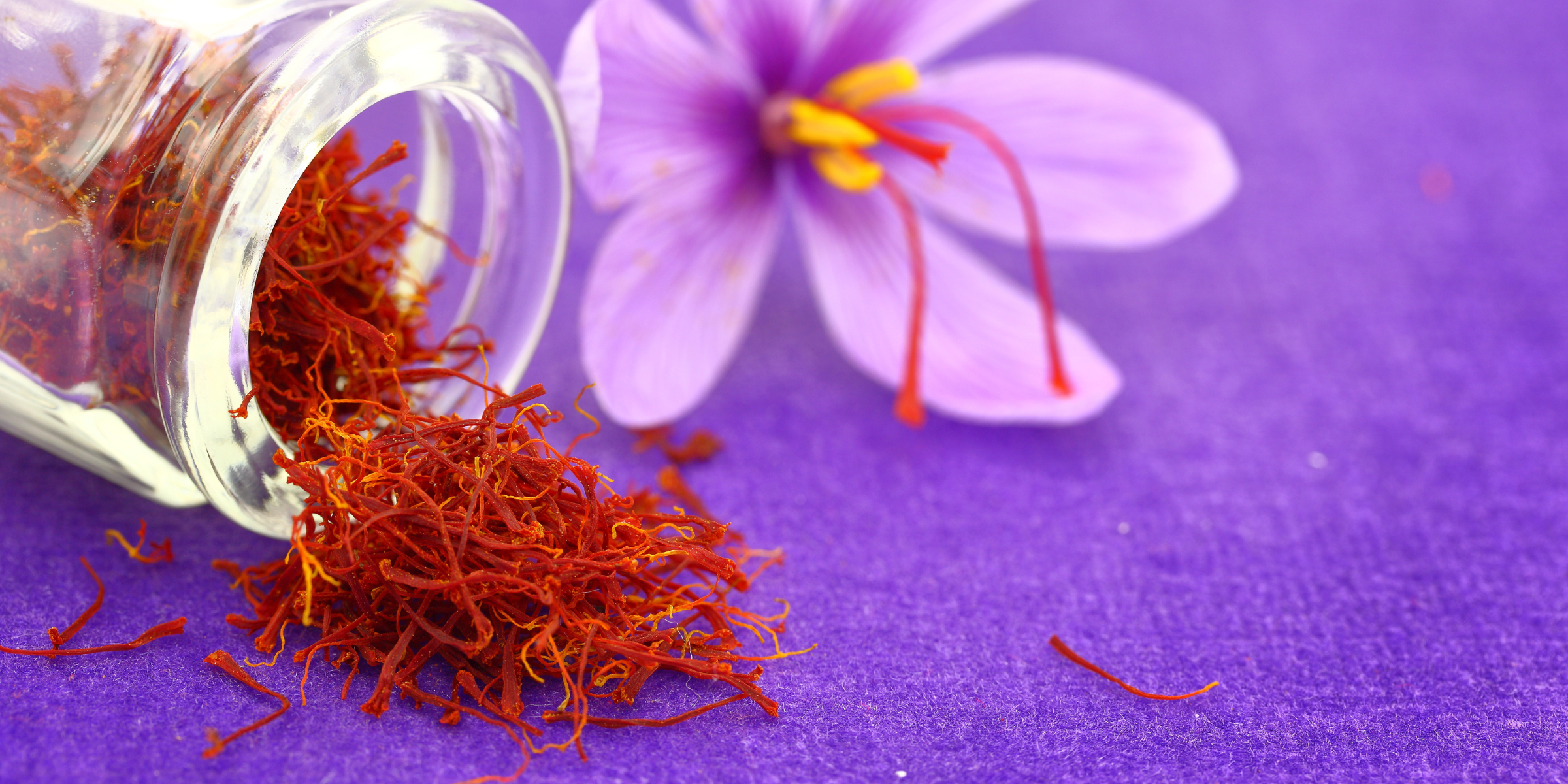 Le safran comme alternative au methyphenidate